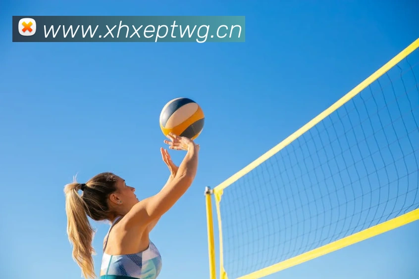 乐鱼官网登陆入口发展历程